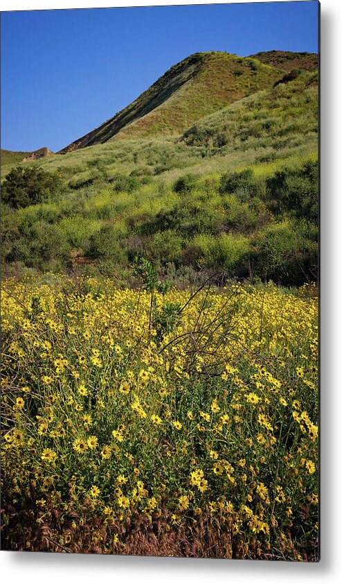 Santa Susana Mountains Metal Print featuring the photograph Spring Wildflowers in the Santa Susana Mountains - Vertical by Lynn Bauer