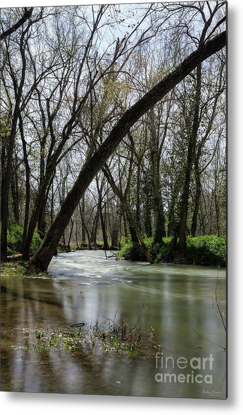 Ozarks Metal Print featuring the photograph Springtime At Finley by Jennifer White
