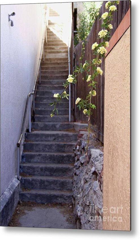 Bisbee Metal Print featuring the photograph Stairway to Heaven by Suzanne Oesterling