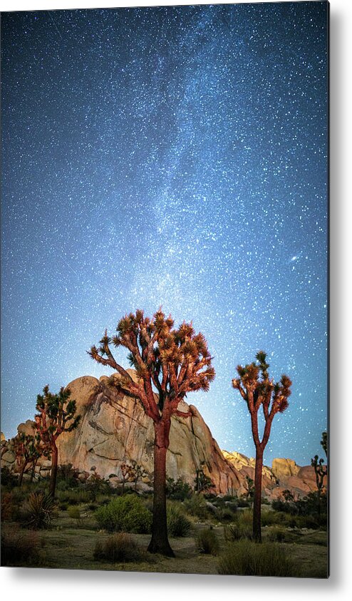 Joshua Metal Print featuring the photograph Starry night by Davorin Mance