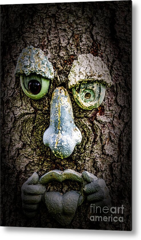 Stone Metal Print featuring the photograph Stone Face by William Norton
