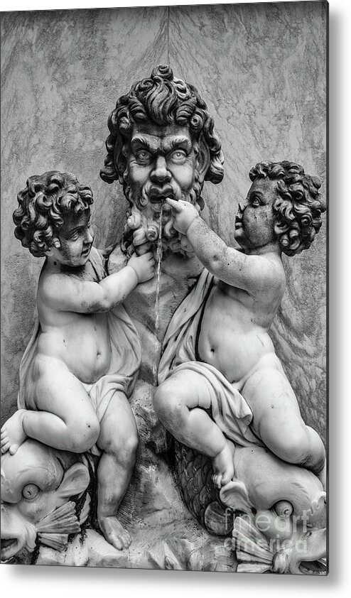 Anatomy Metal Print featuring the photograph Stone Family by Joann Long