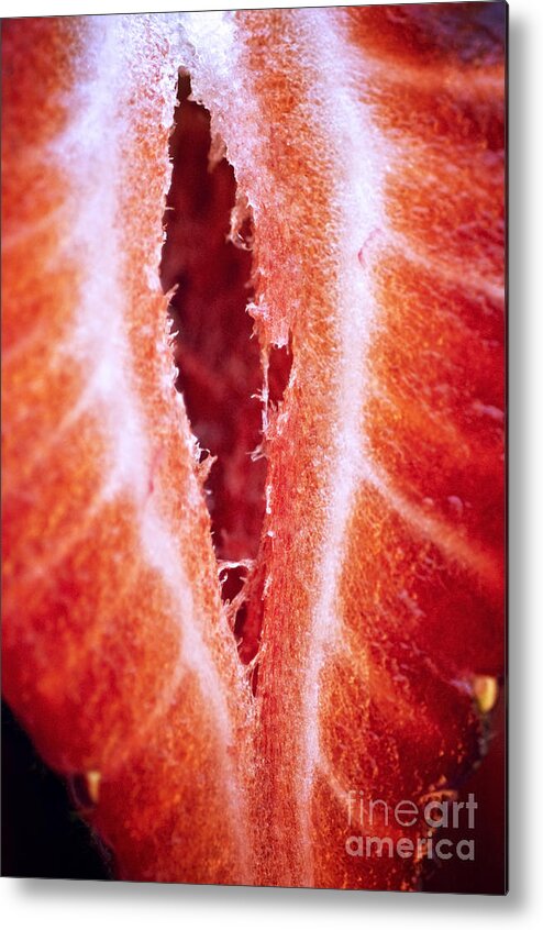 Abstract Metal Print featuring the photograph Strawberry Half by Ray Laskowitz - Printscapes