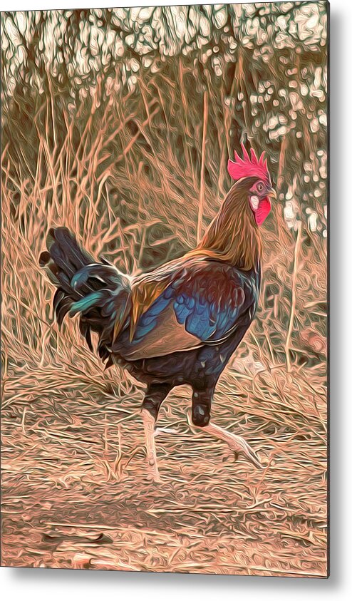 Hawaii Metal Print featuring the photograph Stylized Rooster by Teresa Wilson