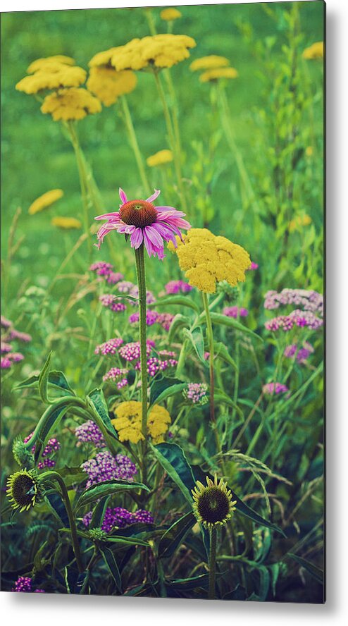 Landscape Metal Print featuring the photograph Summer Flowers by Virginia Folkman