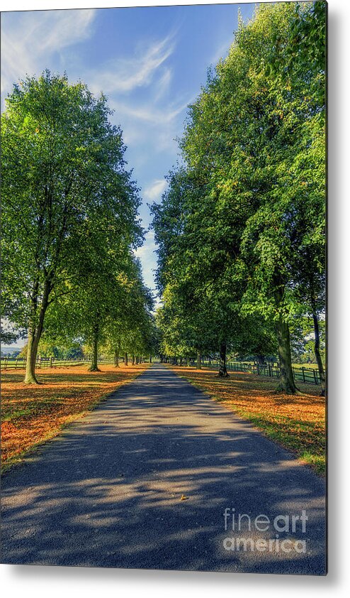 Road Metal Print featuring the photograph Summer Road by Ian Mitchell