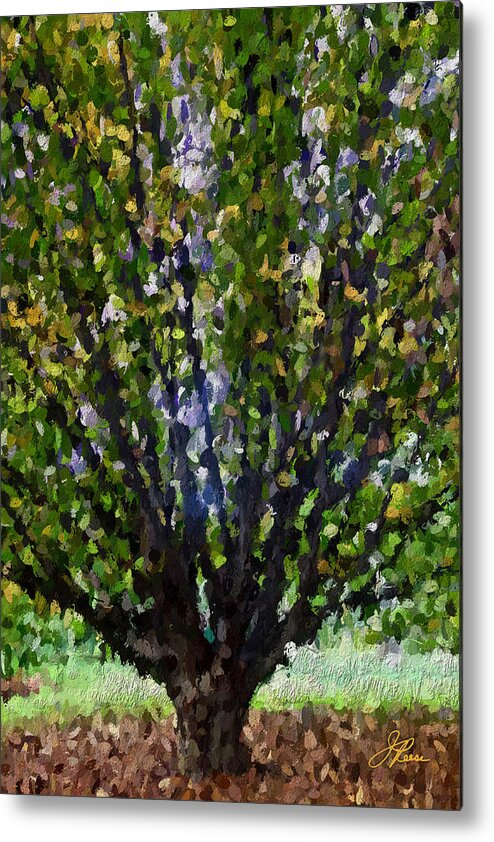 Landscape Painting Metal Print featuring the painting Summer Tree by Joan Reese