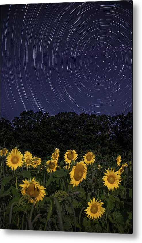 Sunflowers Metal Print featuring the photograph Sunflowers under the Night Sky by Kristen Wilkinson