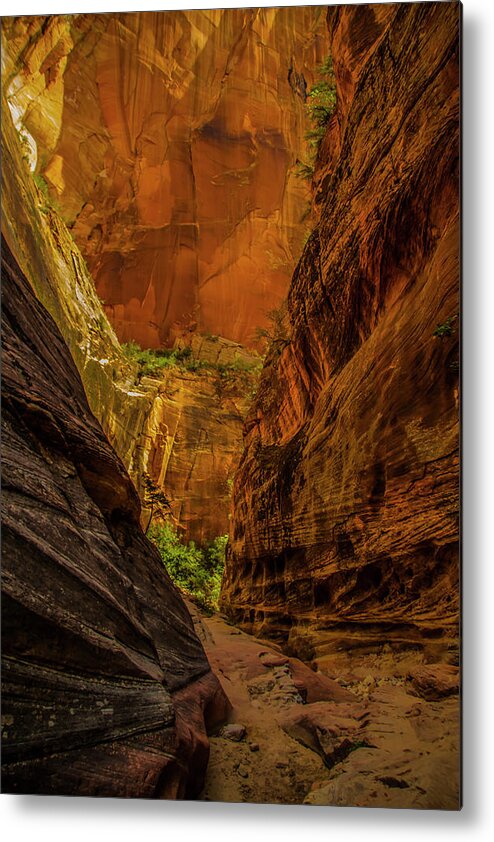 Beautiful Late Afternoon Sunlit Colors Light Up The Echo Canyon Slot Along The Observation Point Trail In Zion National Park. Metal Print featuring the photograph Sunlit Colors in the Slot by Doug Scrima