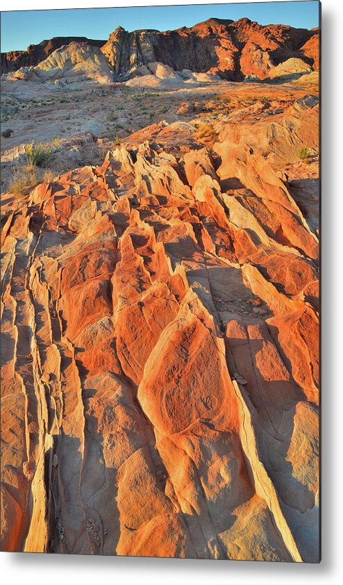 Valley Of Fire State Park Metal Print featuring the photograph Sunrise of Waves of Sandstone in Valley of Fire by Ray Mathis
