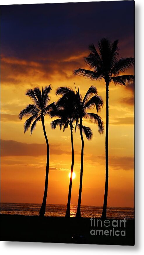 Sunset Metal Print featuring the photograph Sunset Silhouette by Craig Wood