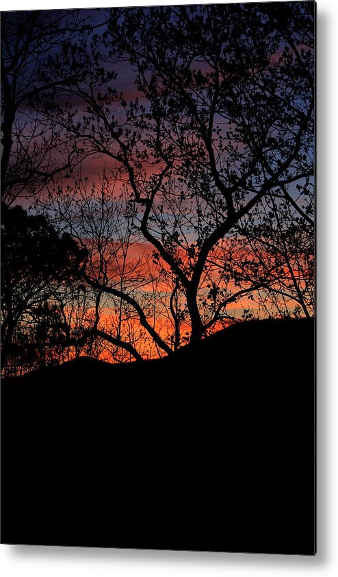 Silhouette Metal Print featuring the photograph Sunset by Tammy Schneider