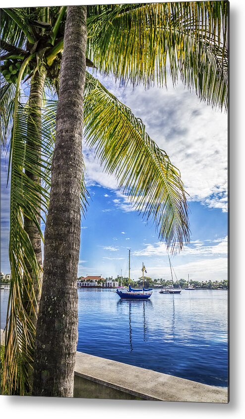 Boats Metal Print featuring the photograph Sunshine Sailing by Debra and Dave Vanderlaan