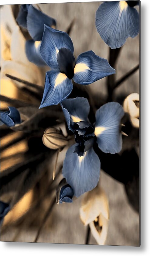Iris Metal Print featuring the photograph Sweet Memories by Theresa Campbell