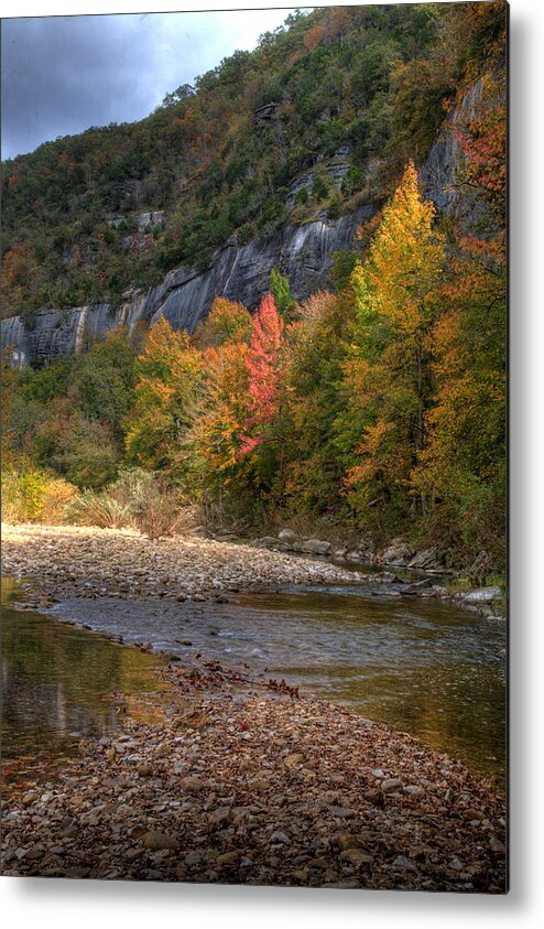 Fall Color Metal Print featuring the photograph Sweetgums at Steel Creek by Michael Dougherty