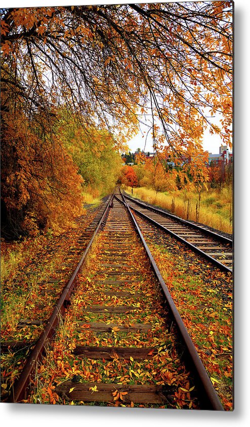 Switching To Autumn Metal Print featuring the photograph Switching to Autumn by David Patterson