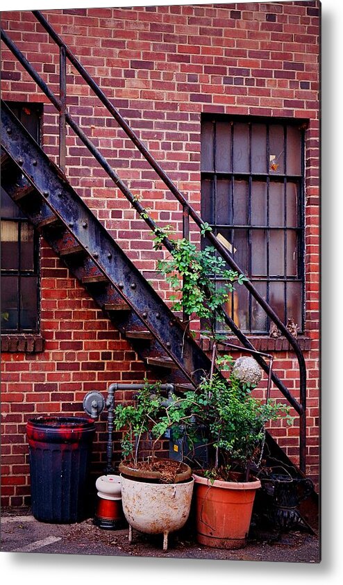 Fine Art Metal Print featuring the photograph Take The Stairs by Rodney Lee Williams