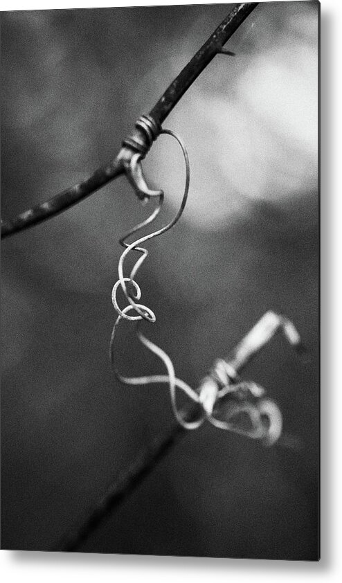 Nature Metal Print featuring the photograph Tangles by Stephen Russell Shilling