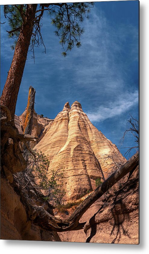 Beautiful Metal Print featuring the photograph Tent Rock and Ponderosa Pine by Robert FERD Frank