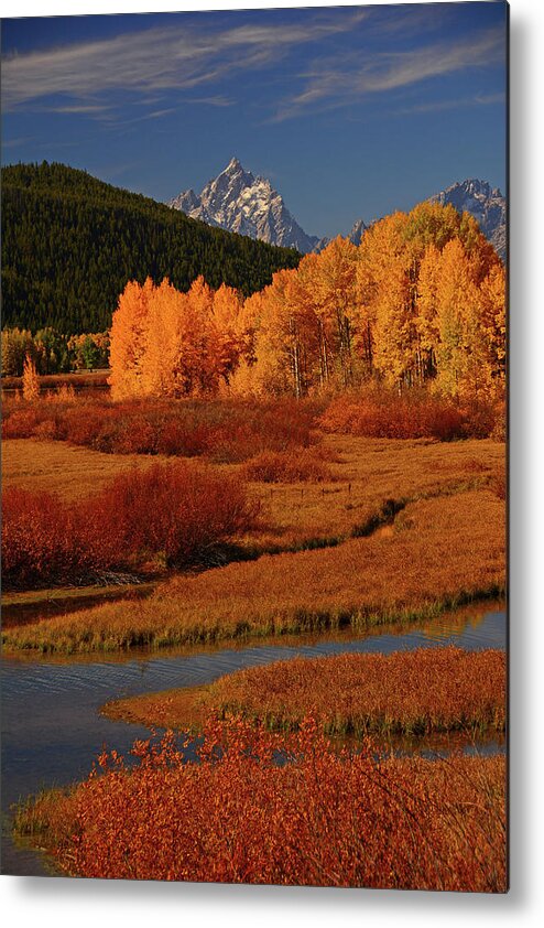 The Cathedral Group From North Of Oxbow Bend Metal Print featuring the photograph The Cathedral Group from North of Oxbow Bend by Raymond Salani III
