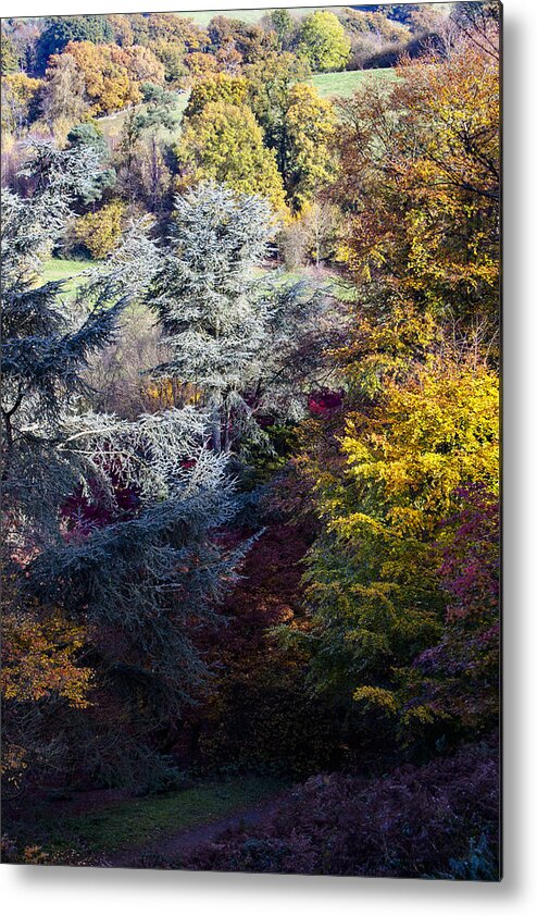 Autumn Metal Print featuring the photograph The Colours of Autumn by Andy Myatt