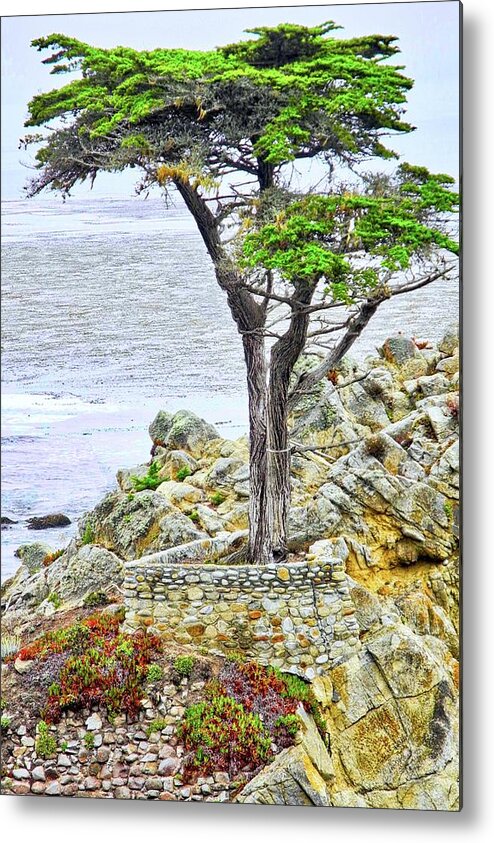 Lone Cypress Of Pebble Beach Metal Print featuring the photograph The Lone Cypress of Pebble Beach by Kirsten Giving