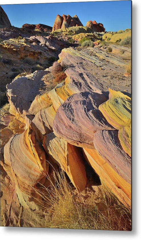 Valley Of Fire State Park Metal Print featuring the photograph The Many Colors of Valley of Fire at Sunset by Ray Mathis