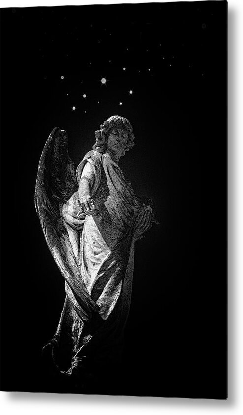 Angels Metal Print featuring the photograph The Messenger by Jim Cook