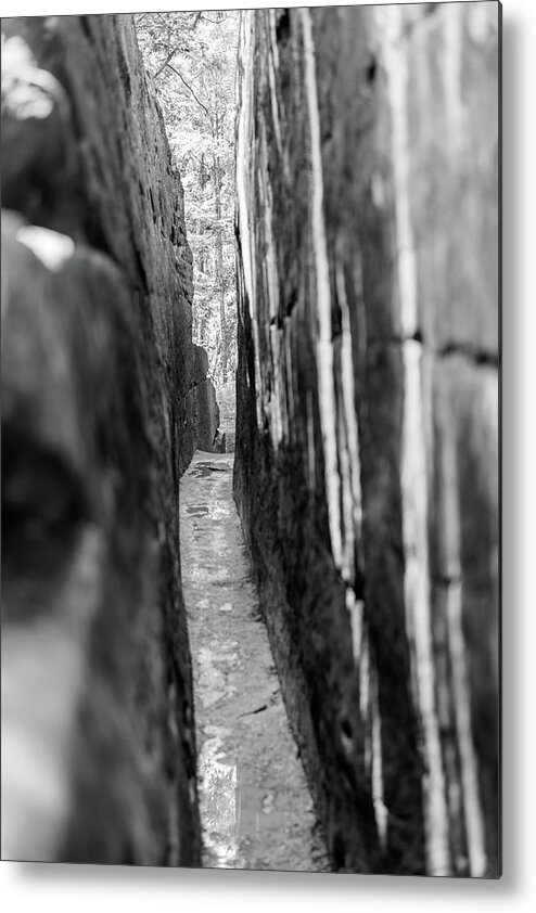America Metal Print featuring the photograph The Narrow Path Monochrome by Michael Scott