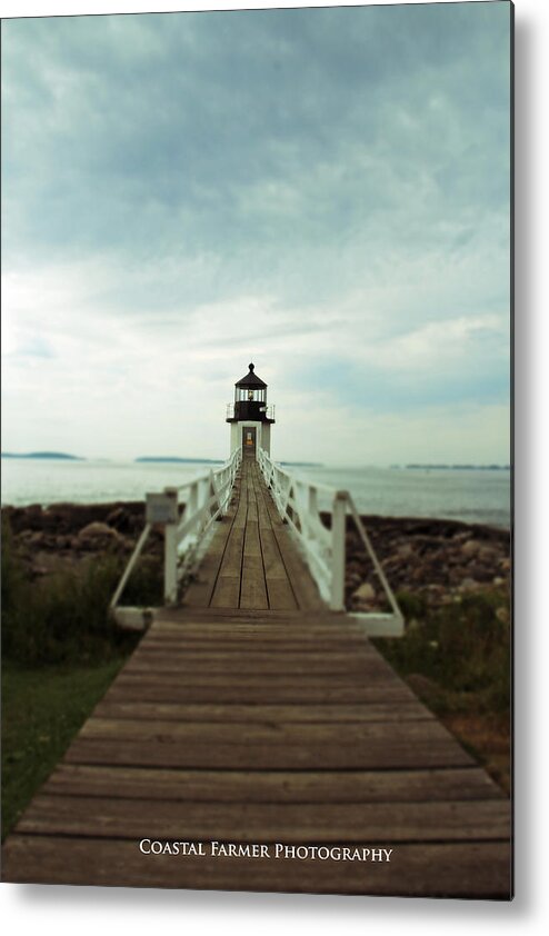 Nature Metal Print featuring the photograph The Point by Becca Wilcox