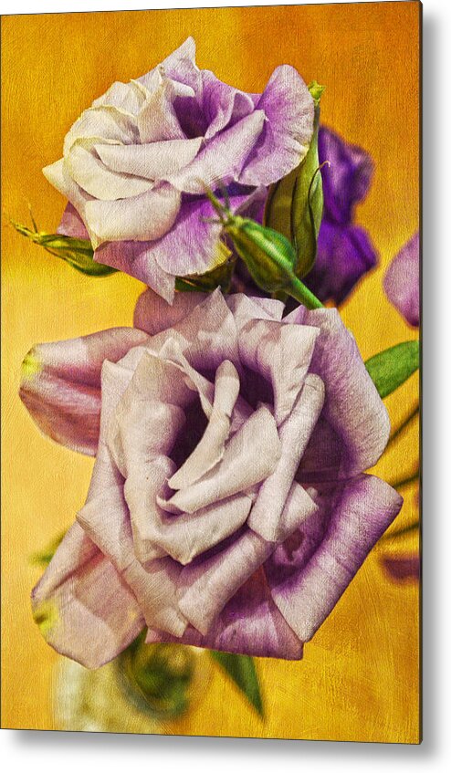 Purple Rose Metal Print featuring the photograph The Purple Rose by Sandi OReilly