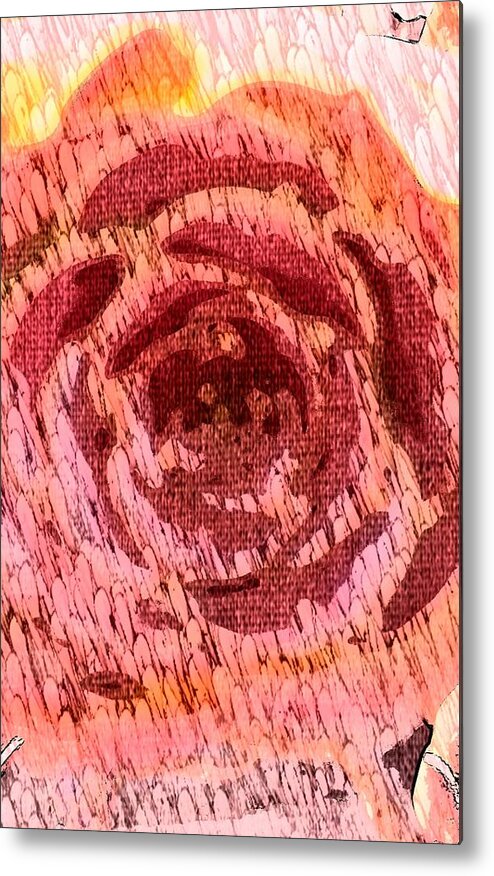 Rose Metal Print featuring the photograph The Rose a flower by Maria Aduke Alabi