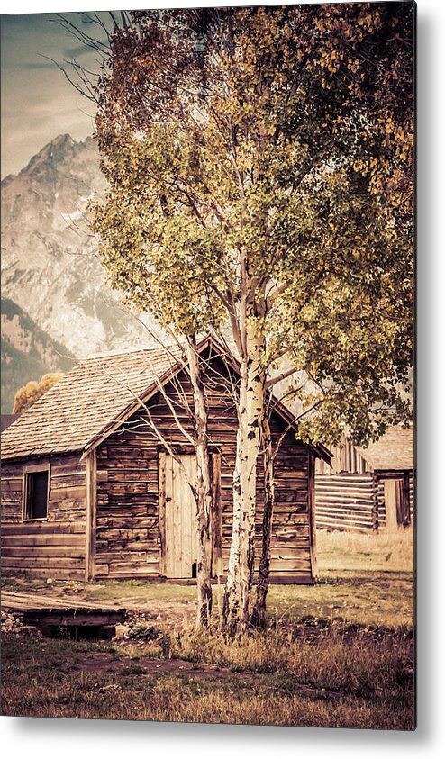 Wyoming Metal Print featuring the photograph The Shack by Teresa Wilson