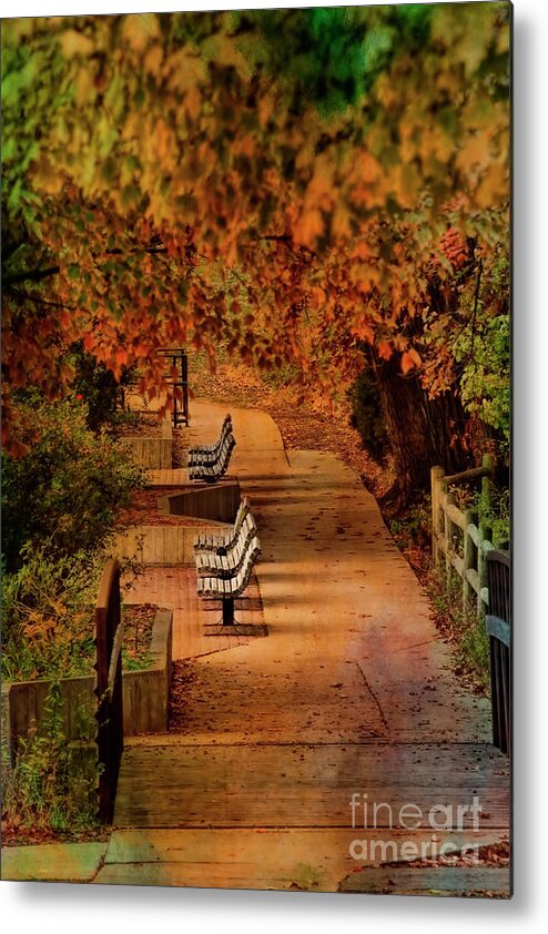 Park Benches Metal Print featuring the photograph The Sound of Silence by Joan Bertucci