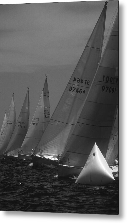 Sail. Sailing Metal Print featuring the photograph The Start by David Shuler