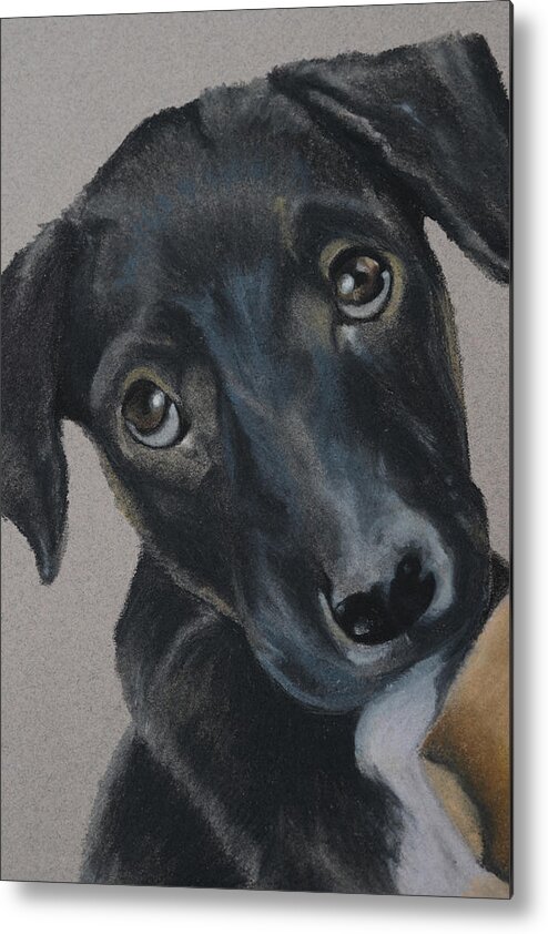 Dog Metal Print featuring the painting Those Puppy Dog Eyes by Catt Kyriacou