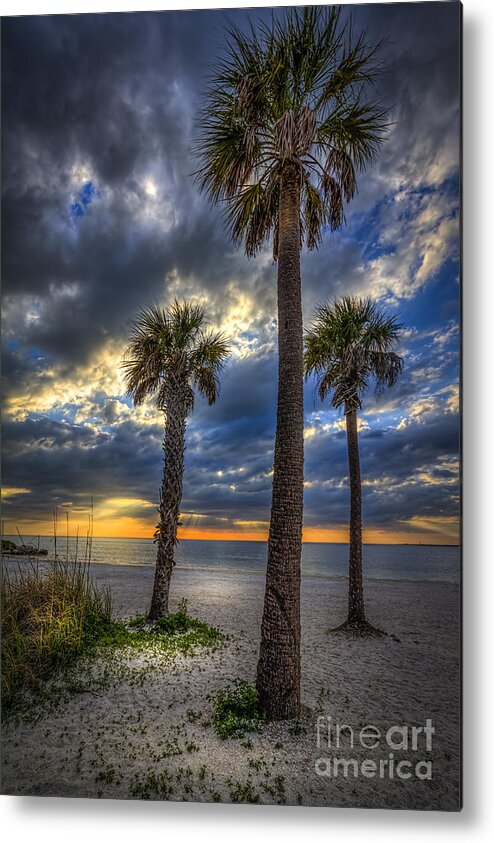 Clouds Metal Print featuring the photograph Three Palm Stew by Marvin Spates