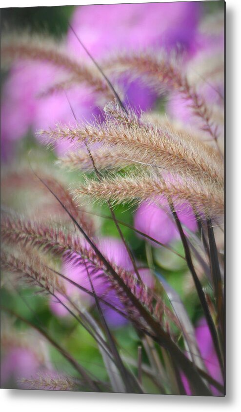 Nature Metal Print featuring the photograph Tickles by Diana Angstadt