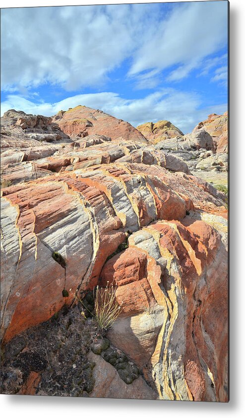 Valley Of Fire State Park Metal Print featuring the photograph Tiger Stripes in Valley of Fire by Ray Mathis