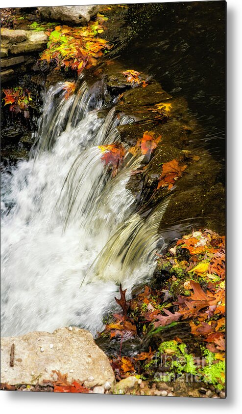 Autumn Metal Print featuring the photograph Tiny Waterfalls by Timothy Hacker