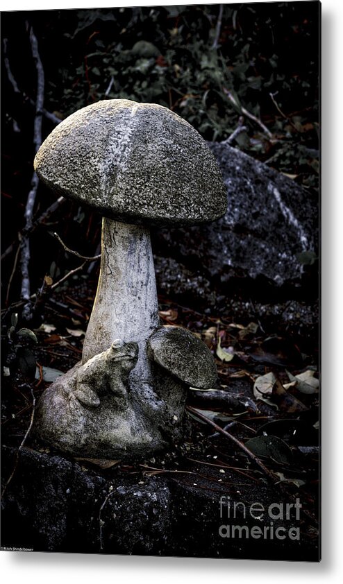 Toadstool Metal Print featuring the photograph Toadstool by Mitch Shindelbower