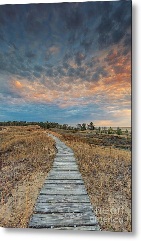 Autumn Metal Print featuring the photograph Trailing Off by Andrew Slater