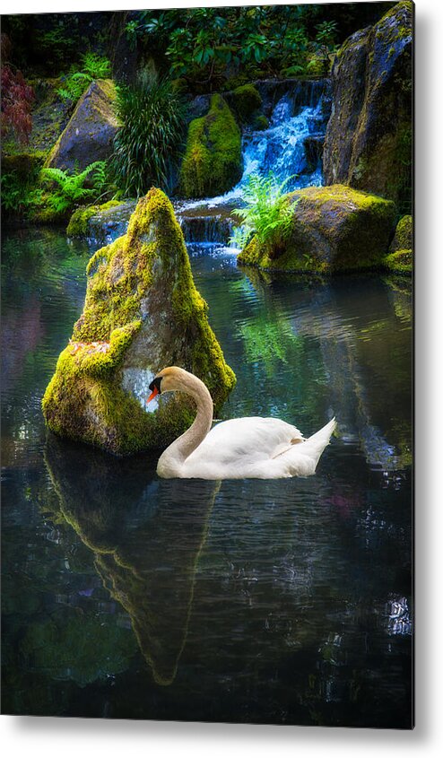 Swan Metal Print featuring the photograph Tranquility by Harry Spitz