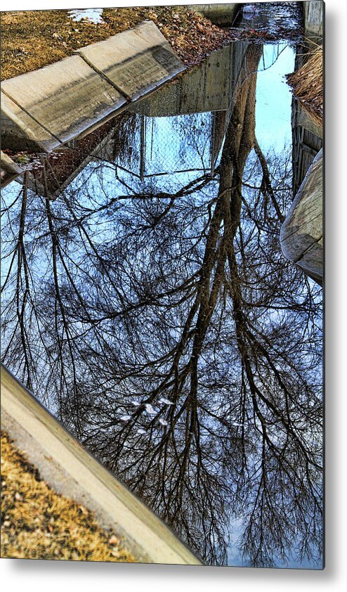 Poster Photo Metal Print featuring the photograph Tree Reflection From No Where Photography Image by James BO Insogna