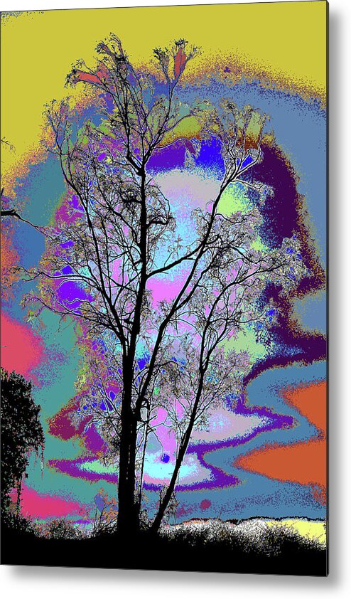 Tree - Story Of Life Metal Print featuring the photograph Tree - Story Of Life by Kenneth James
