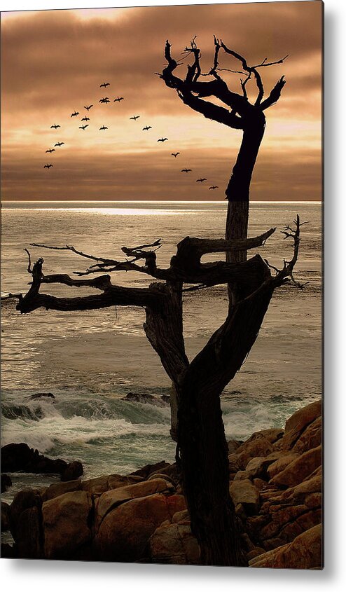 Tree Metal Print featuring the photograph Tree with Birds by Harry Spitz