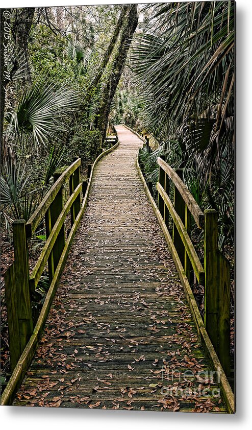 Photography Metal Print featuring the photograph Tropical Walk by Susan Smith