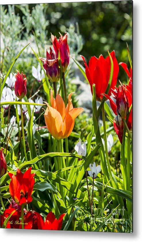 Spring Metal Print featuring the photograph Tulip - The orange one by Arik Baltinester
