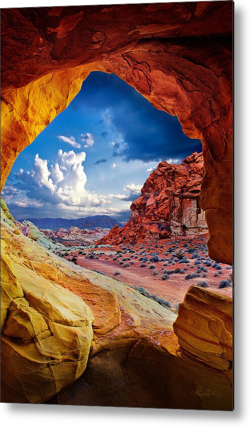 Landscape Metal Print featuring the photograph Tunnel Vision by Renee Sullivan