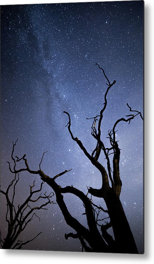 Milky Way Metal Print featuring the photograph Twisted Spooky Trees and the Milky Way Stars by Anita Nicholson